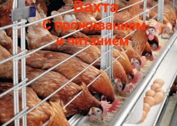 Вахта 15/30 разнорабочие в Москве с проживанием