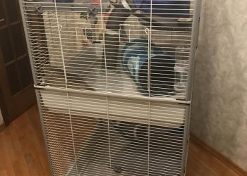 Клетка для хорька или двух