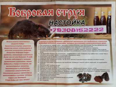 Бобровая струя