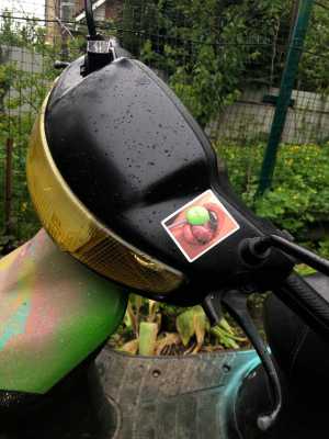 Хонда дио 27зх