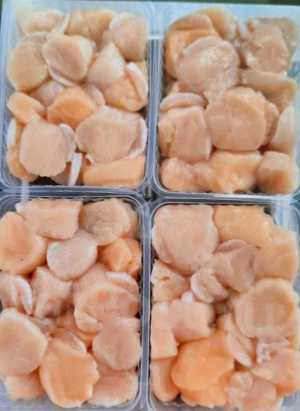 Парной гребешок