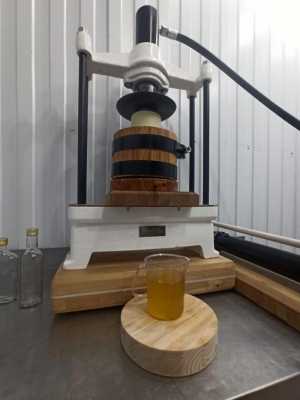 масло кедровое сыродавленное