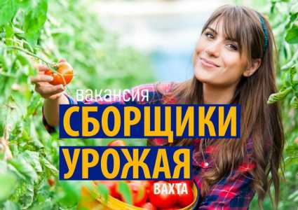 Вахта с питанием и проживанием для мужчин и женщин в Краснодарском крае