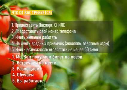 Вахта с питанием и проживанием для мужчин и женщин в Краснодарском крае