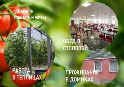 Вахта с питанием и проживанием для мужчин и женщин в Краснодарском крае