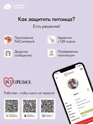   QR-    PetComeBack