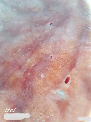 Икра щуки (Свежезамороженная)