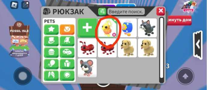 Продаю р цыпу