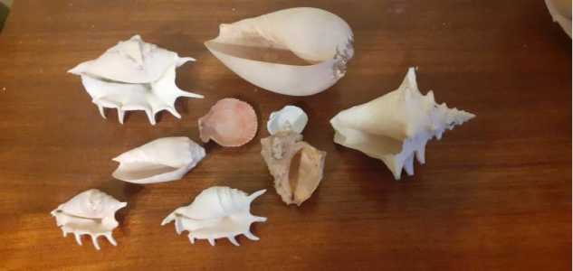 Декор для аквариума