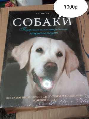 Энциклопедия