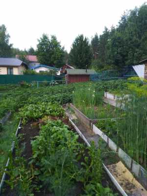 Продам жилой дом с земельным участком