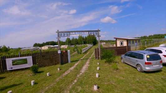 Продаю виноградник с винодельней и домами отдыха