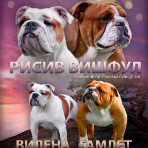 Английские аристократки