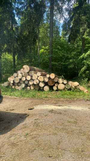 Нужны бригады для Валки леса и одиночки