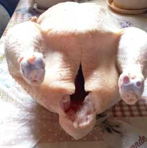 Мясо бройлеров