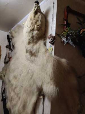 Шкура медведя