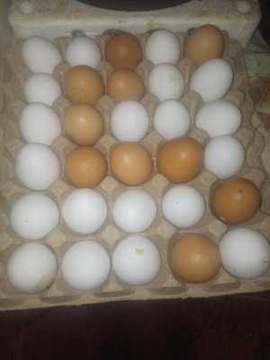Куриные яйца