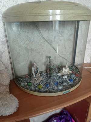 Продам аквариум с фильтром и декором