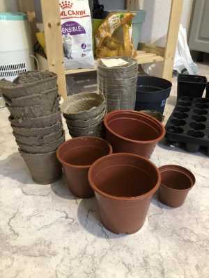 Стаканы для рассады