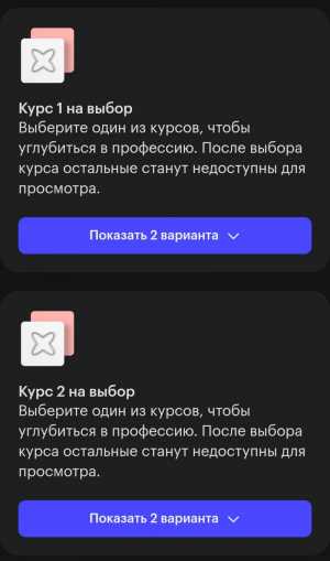 Курс от Skill Books на Вэб дизайнера.