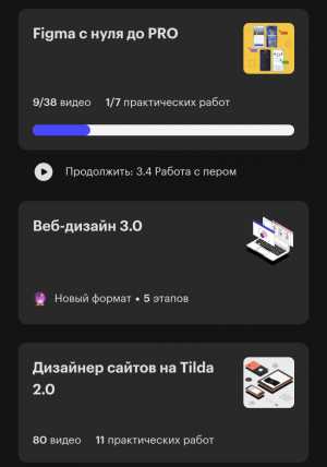 Курс от Skill Books на Вэб дизайнера.