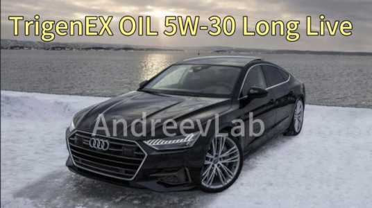 Моторное масло TrigenEX OIL 5W30 Long Live PAO