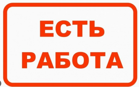 Сборщик поддонов (Ежедневные выплаты)