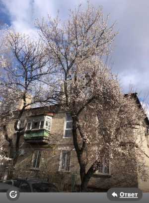 3-к квартира, общая 67 м2, 1/2 эт. Луганск, городок завода ОР