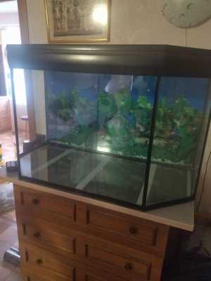 Аквариум 200л. плюс грунт, декорации., фильтр, подсветка.