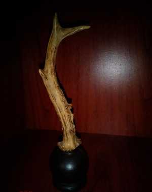 Рог косули. 17 см. на подставке.