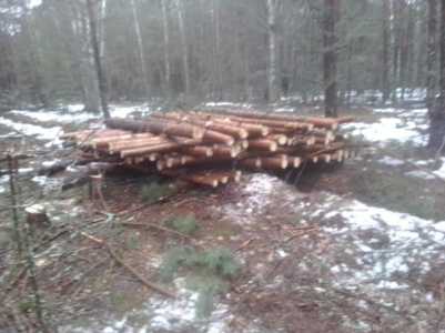 Столб сосновый -3м.(+).