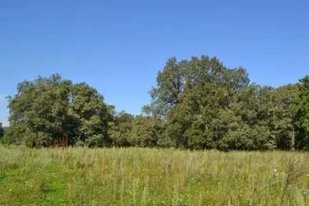 Продам земельный участок.