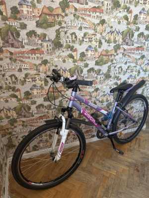 Велосипед Десна