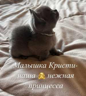 Бурмочки