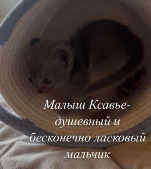 Бурмочки