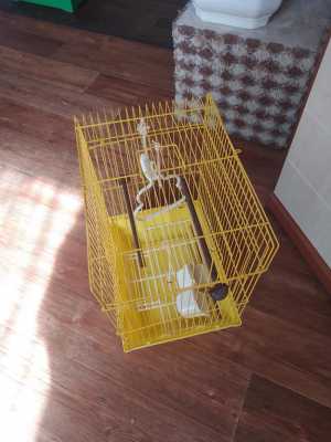 Клетка для птиц