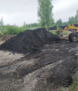 Чернозем лесной , земля, грунт с доставкой
