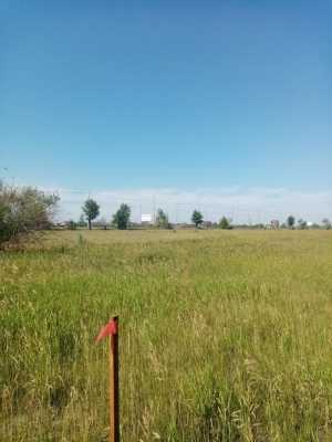 Продажа участков в Новом Расцвете