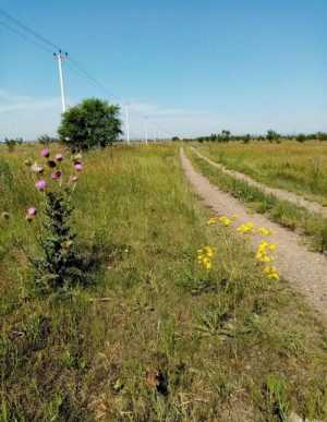 Земельные участки в перспективном районе