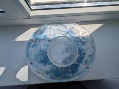 Муравьиная ферма