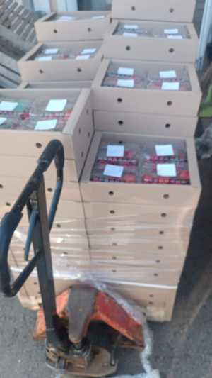 Детскую стул-качелю