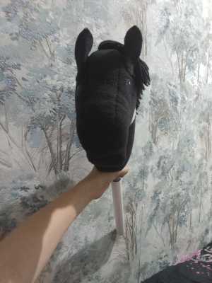 Продаю хорса