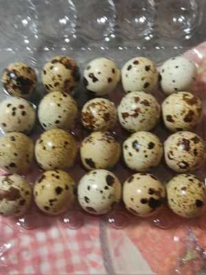 Яйцо перепелиное