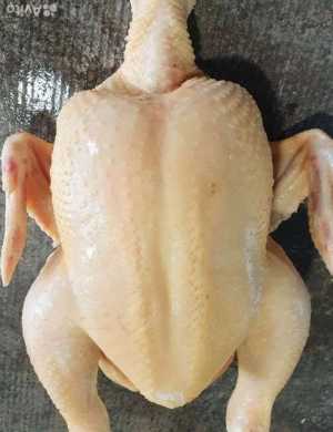 Мясо бройлера