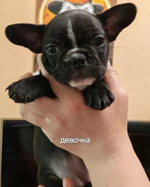 �����