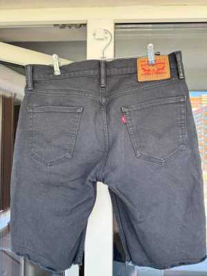 ��������� ������ ����� Levis