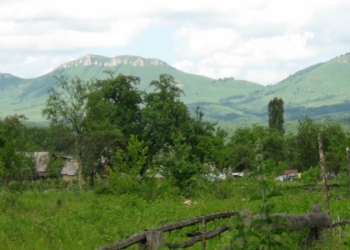 Продам участок 20 сот., земли поселений (ИЖС), 80 км до города