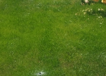 Система автоматического полива