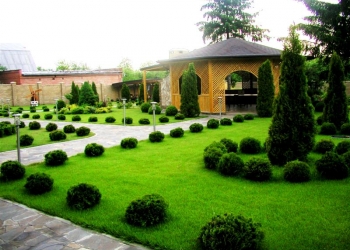 Озеленение участка