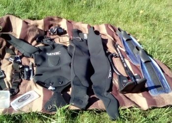 звоните торг уместен